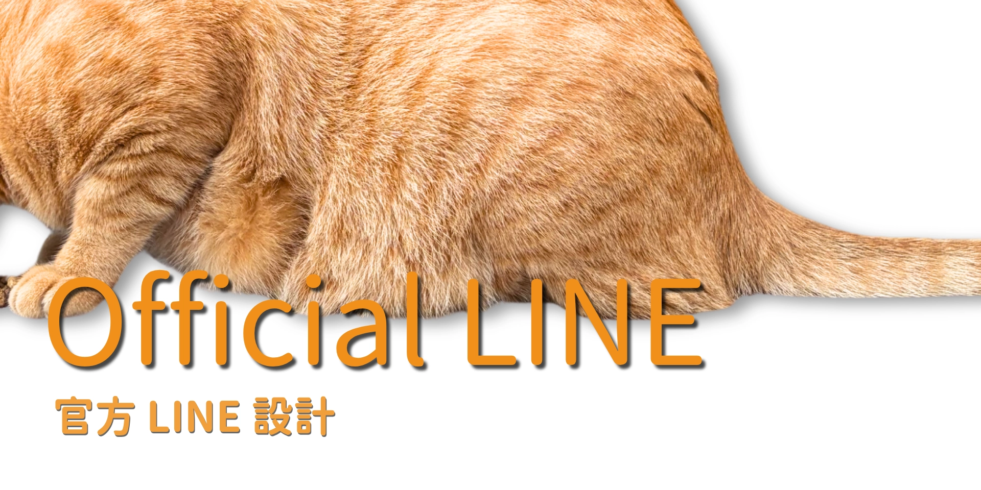 貓福設計官方LINE設計
